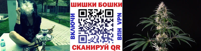 Купить  Очёр  Канабис семена 